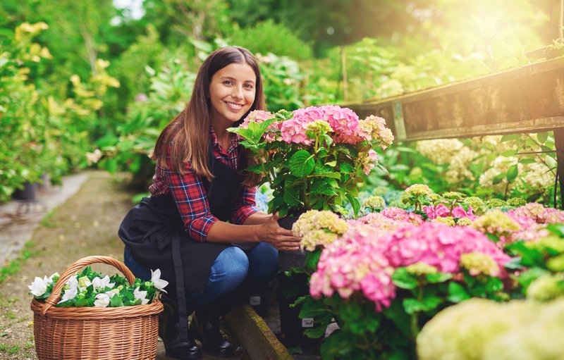 Green fingers: ESL/EFL Lesson Plan and Worksheet